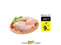 ktaa-aldgag-bakl-saar-small-2