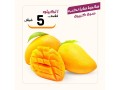 aarod-yom-alahg-208-small-2