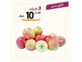 gmaah-mbarkh-aarod-mmyz-lyom-algmaa-19-small-2