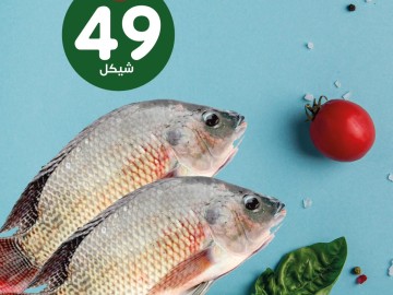 3 كيلو سمك مشط ب49 ش فقط!