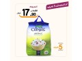 aarod-alyom-39-small-3