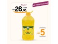 aarod-alyom-39-small-4