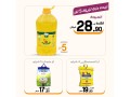 aarod-alyom-109-small-3