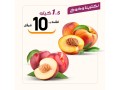 aarod-alyom-alahd-179-small-3