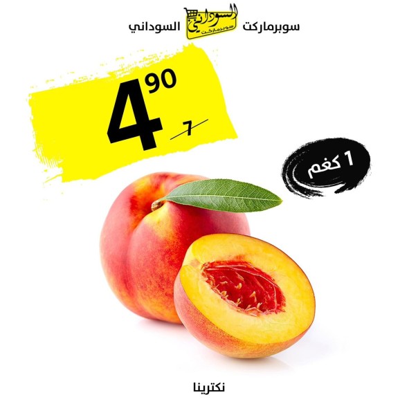 ako-alaarod-altazg-llyom-alathnyn-big-9