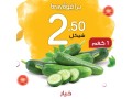 laarod-khas-bfroaa-nabls-oram-allh-olyom-alathnyn-fkt-2102023-small-2