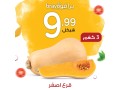 laarod-khas-bfroaa-nabls-oram-allh-olyom-alathnyn-fkt-2102023-small-6